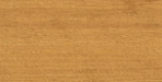 OSMO One Coat Only