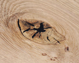 Wood Repair Kit Plus+ by Boegh Consult