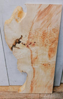 Box Elder Burl #3  23 3/4