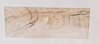 Curly Ambrosia Maple Blank 13 1/2