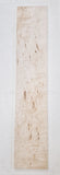 Hard Curly Maple with Bark Inclusion #2 - 34 1/4" x 6 3/4" x 15/16"
