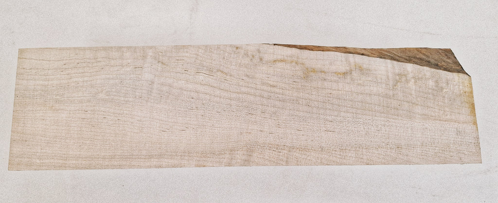 Curly Ambrosia Maple Blank 15" x 4" x 4"