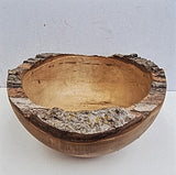 Natural Edge Cored Bowls