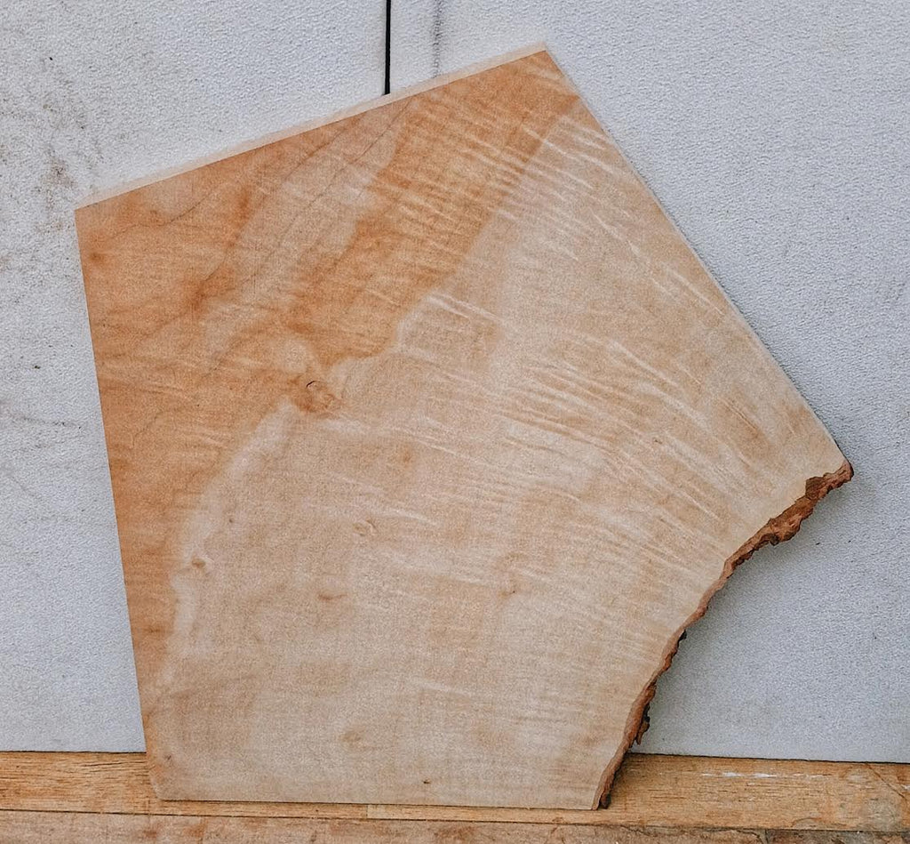 Curly Maple #1 18" x 14" x 1/2"