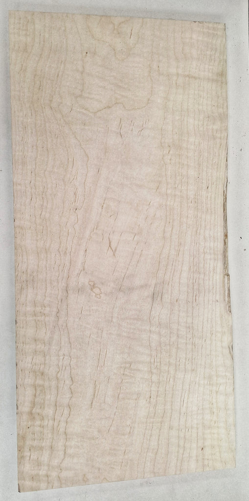 Curly Hard Maple Boards #27