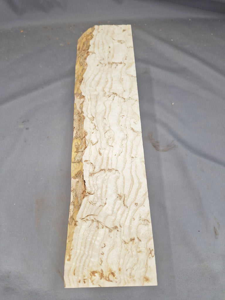 Ash Burl Mid Grade Mill Blank #14 - 12" x 3 " x 3"