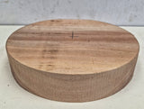 Walnut Rounded Blanks 2+/-"