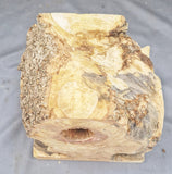 Box Elder Burl 6" x 6" x 4 1/2"