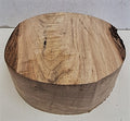 American Elm Rounded Bowl Blanks