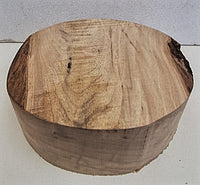 American Elm Rounded Bowl Blanks