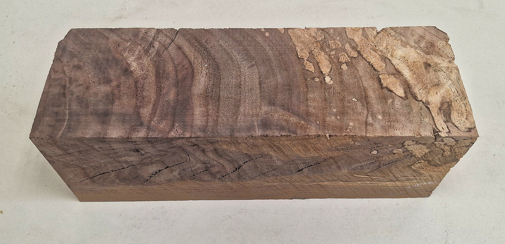 Walnut #15