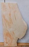 Box Elder Burl #4 24" x 11 1/2 x 11/16"