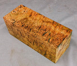 2026 Big Leaf Maple Burl