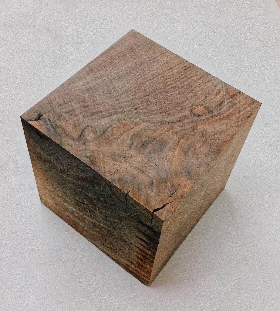 Walnut #19