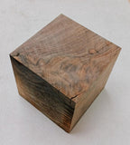 Walnut #19