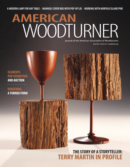 American Woodturner June 2021 - USED