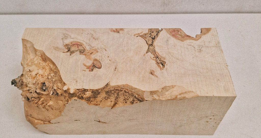 Box Elder Burl #1