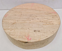 Spalted Maple Round #1 13