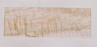 Curly Ambrosia Maple Blank 14