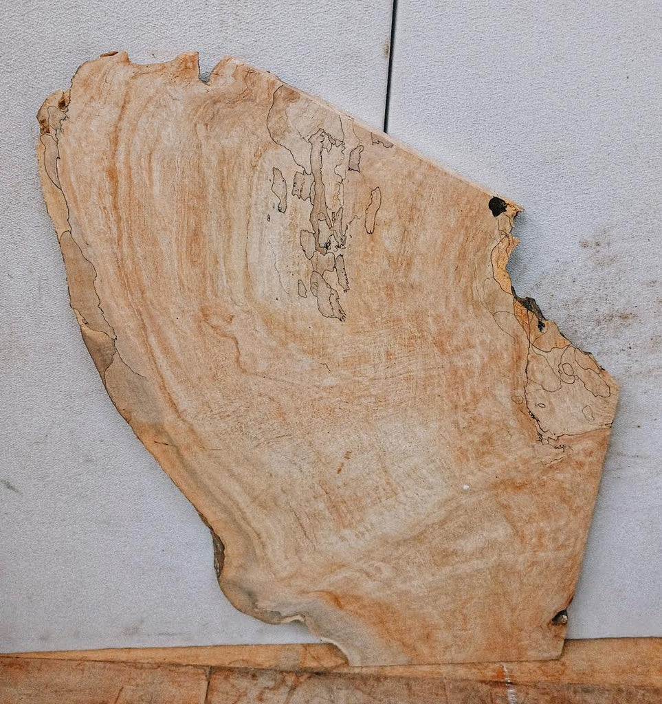 Curly Spalted Maple #1