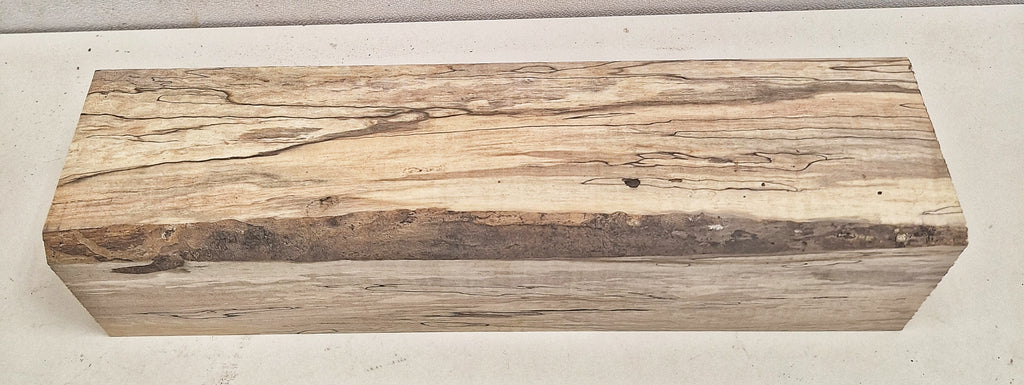 Spalted Maple #6