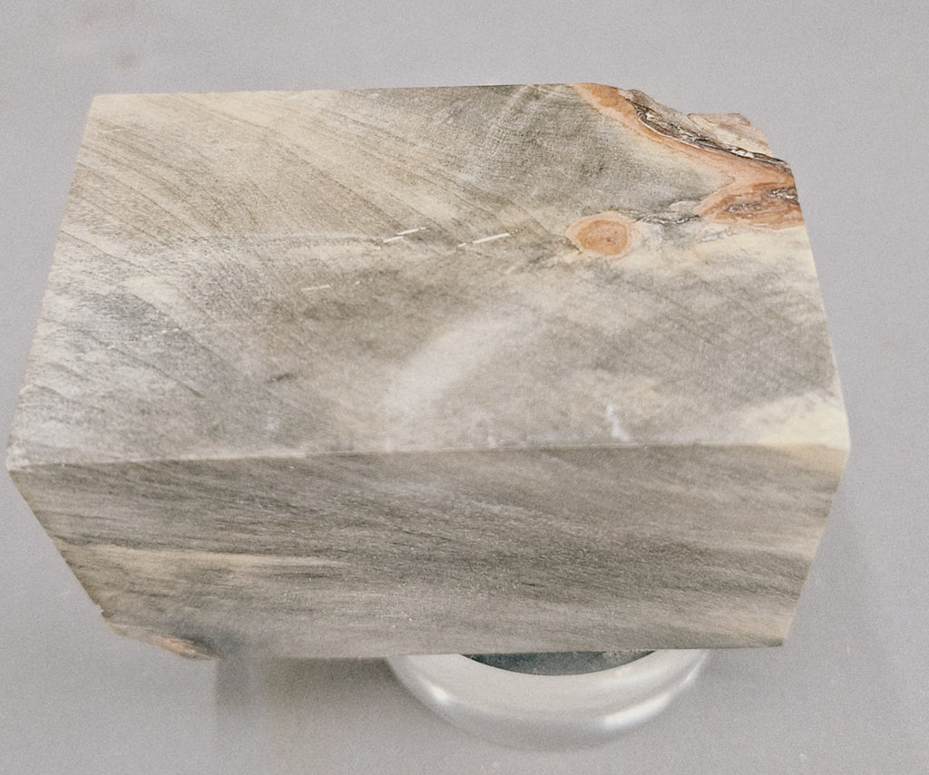 715 Buckeye Burl