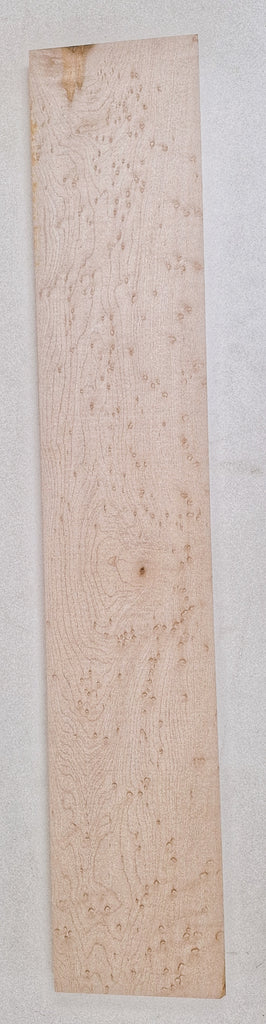 Birdseye Maple #154