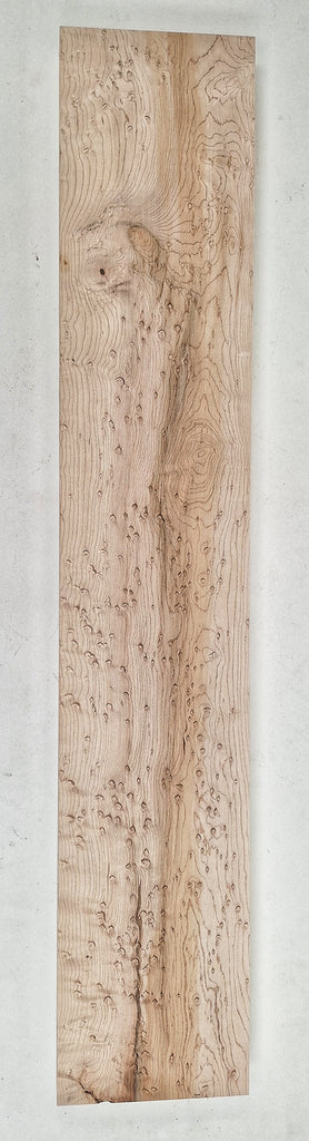 Birdseye Maple #101