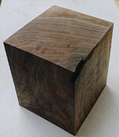 Walnut #24