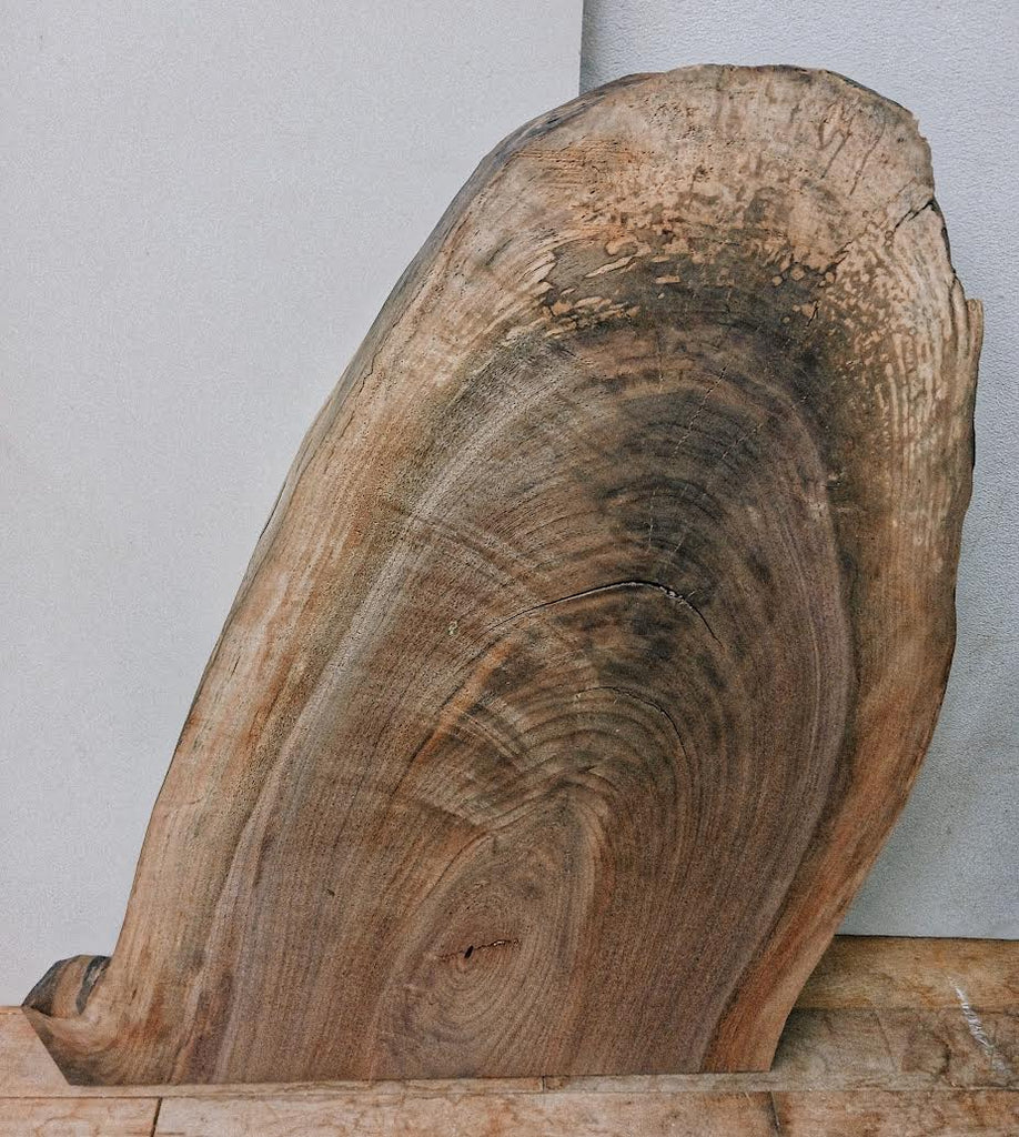 Walnut #3