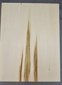 WD-Basswood  8 1/2