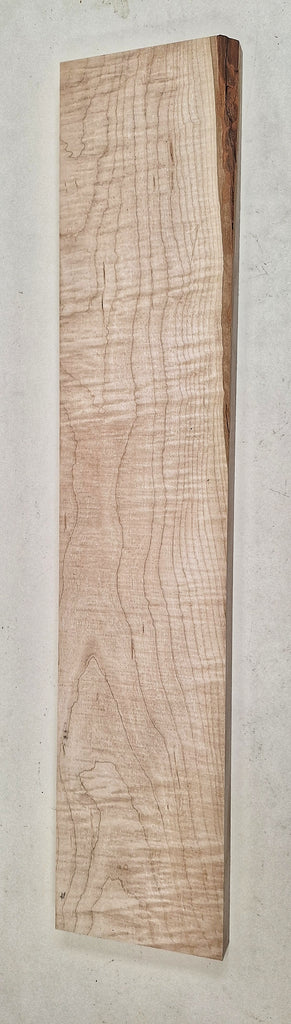 Curly Hard Maple Boards #26