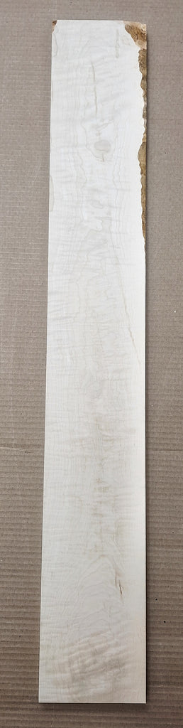 Curly Hard Maple Boards #17