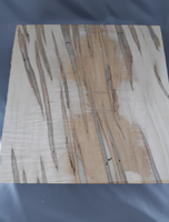 Curly Ambrosia Maple 3
